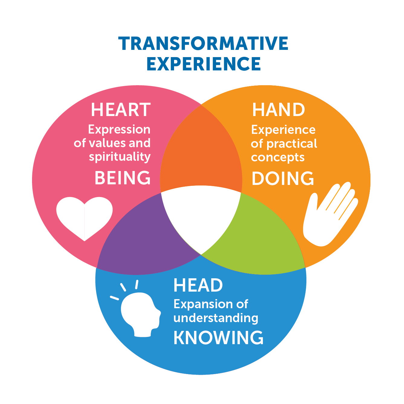 transformative experience graphic